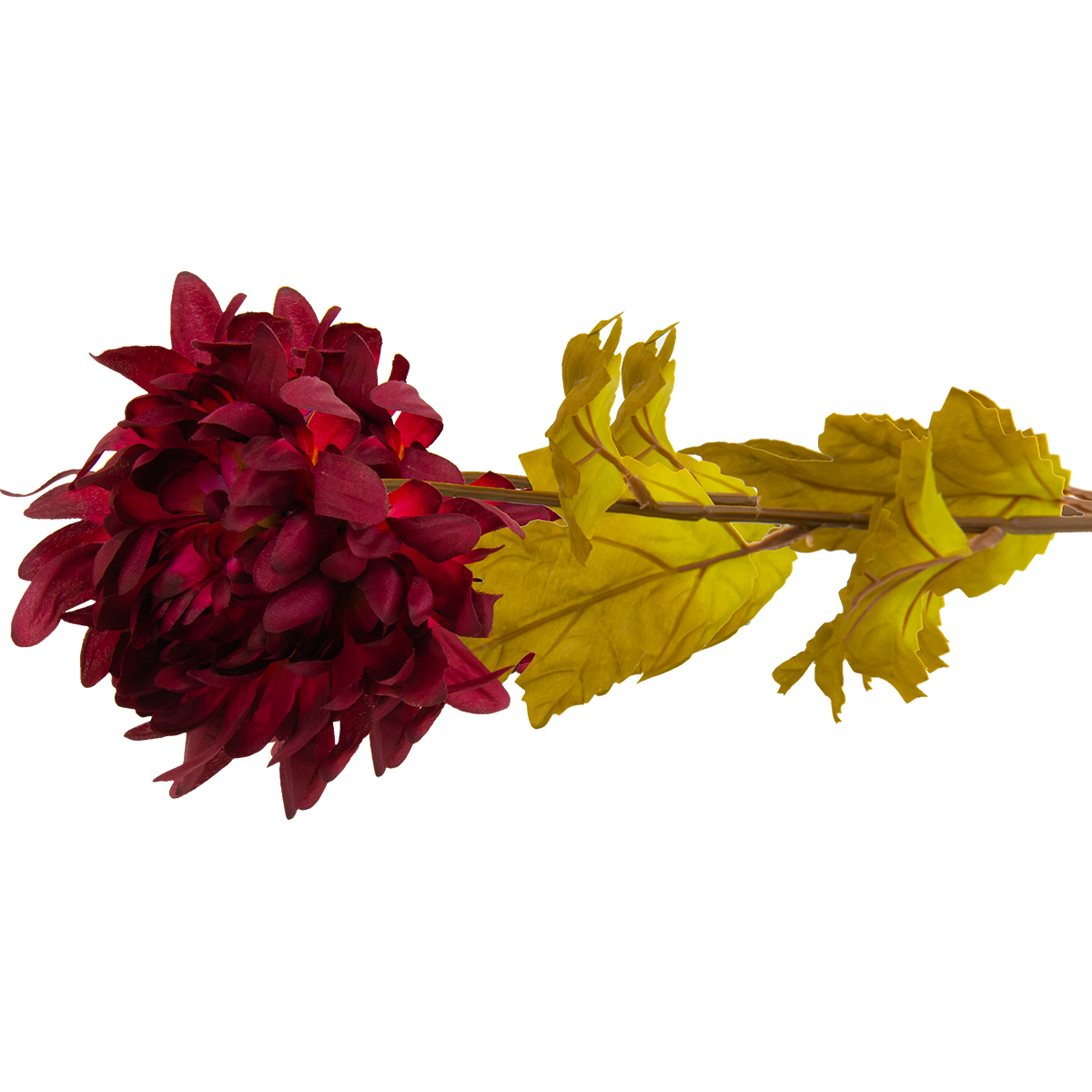 Flor Crisantemo Morado | Flores | decoracion